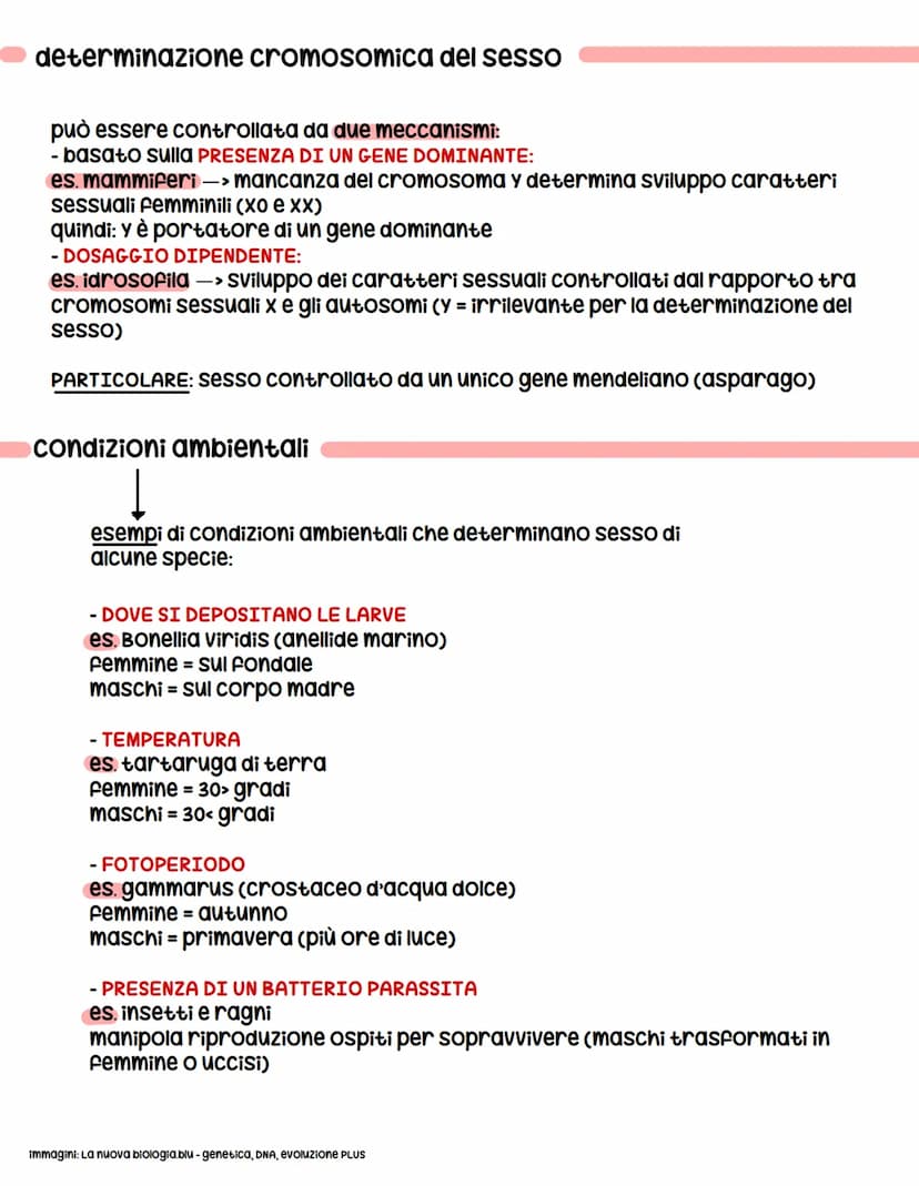 determinazione del sesso
organismi MONOICI = Sia organi riproduttivi femminili sia maschili
organismi DIOICI = uno dei due
in molti organism