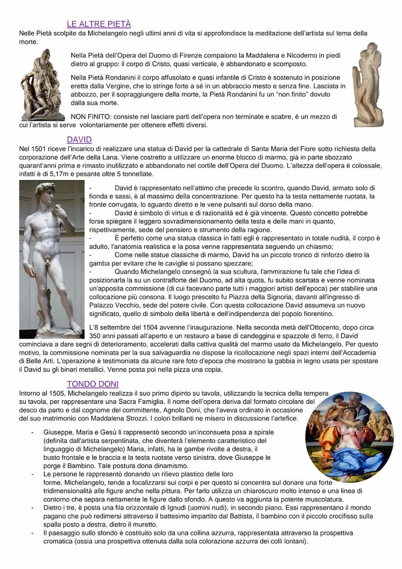 LEONARDO DA VINCI
LA VITA
Leonardo nasce nel 1452 a Vinci da un'unione extraconiugale. Fin da bambino osserva e sperimenta ciò che avviene n
