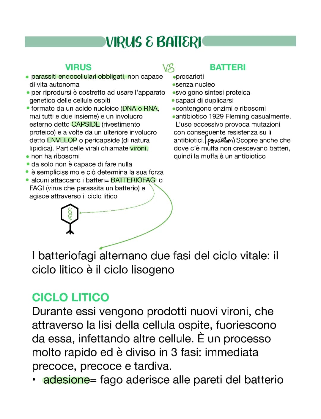 VIRUS E BATTERI
