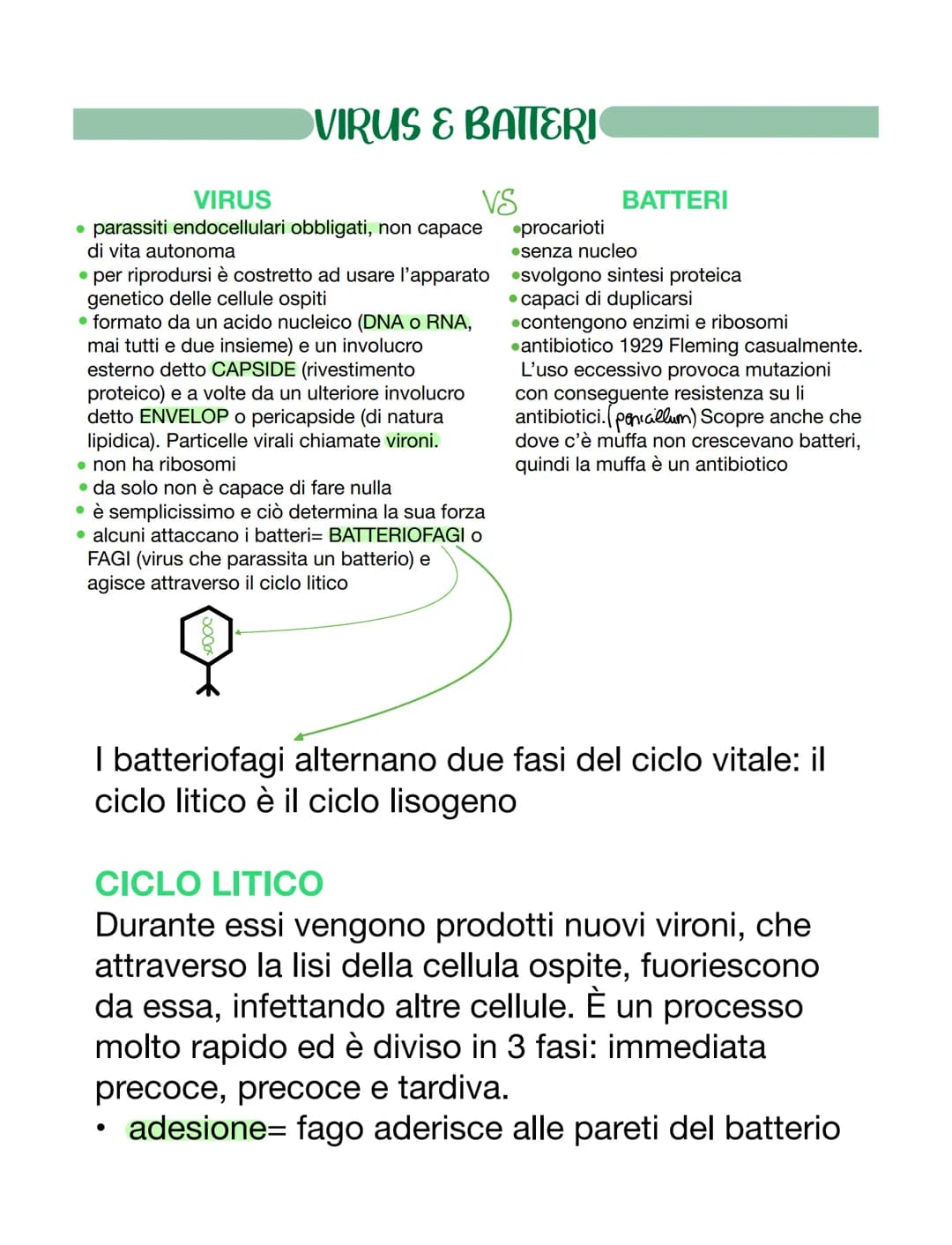 VIRUS & BATTERI
VIRUS
VS
parassiti endocellulari obbligati, non capace
di vita autonoma
• per riprodursi è costretto ad usare l'apparato
gen
