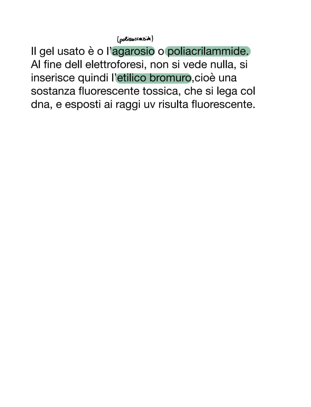 VIRUS & BATTERI
VIRUS
VS
parassiti endocellulari obbligati, non capace
di vita autonoma
• per riprodursi è costretto ad usare l'apparato
gen