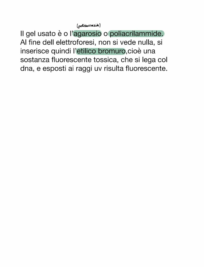 VIRUS & BATTERI
VIRUS
VS
parassiti endocellulari obbligati, non capace
di vita autonoma
• per riprodursi è costretto ad usare l'apparato
gen