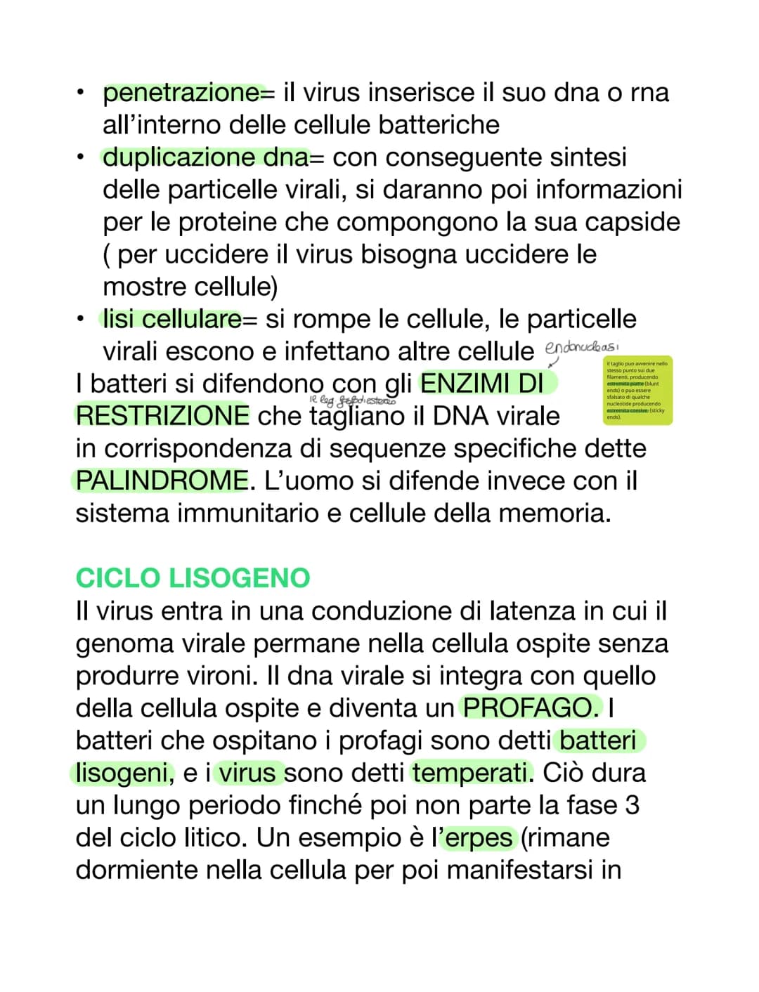 VIRUS & BATTERI
VIRUS
VS
parassiti endocellulari obbligati, non capace
di vita autonoma
• per riprodursi è costretto ad usare l'apparato
gen