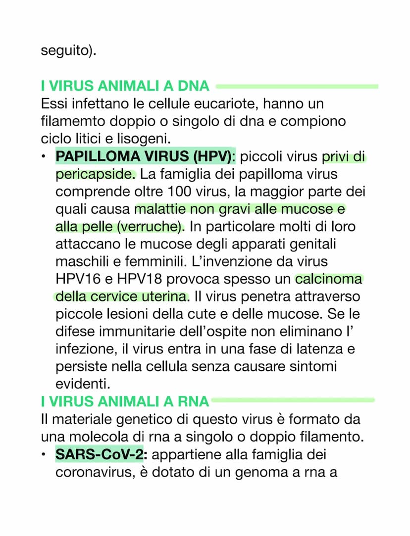 VIRUS & BATTERI
VIRUS
VS
parassiti endocellulari obbligati, non capace
di vita autonoma
• per riprodursi è costretto ad usare l'apparato
gen