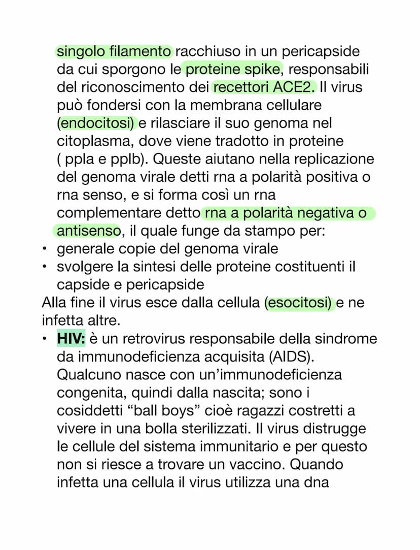 VIRUS & BATTERI
VIRUS
VS
parassiti endocellulari obbligati, non capace
di vita autonoma
• per riprodursi è costretto ad usare l'apparato
gen