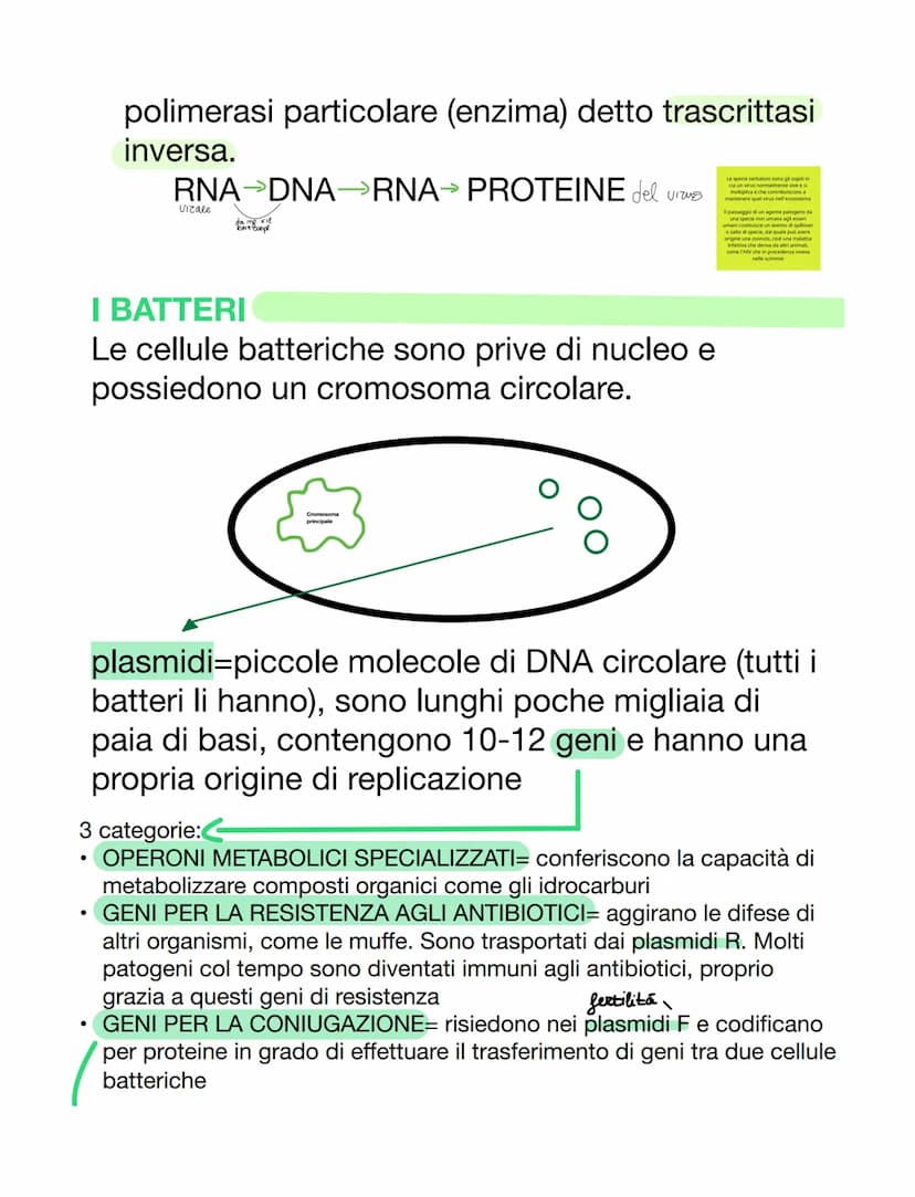 VIRUS & BATTERI
VIRUS
VS
parassiti endocellulari obbligati, non capace
di vita autonoma
• per riprodursi è costretto ad usare l'apparato
gen