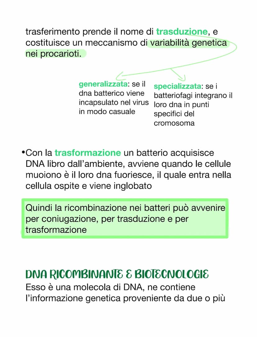 VIRUS & BATTERI
VIRUS
VS
parassiti endocellulari obbligati, non capace
di vita autonoma
• per riprodursi è costretto ad usare l'apparato
gen