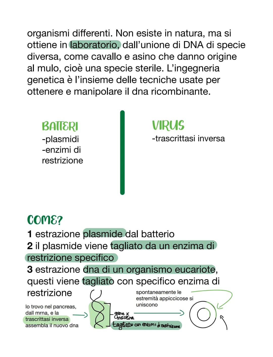 VIRUS & BATTERI
VIRUS
VS
parassiti endocellulari obbligati, non capace
di vita autonoma
• per riprodursi è costretto ad usare l'apparato
gen