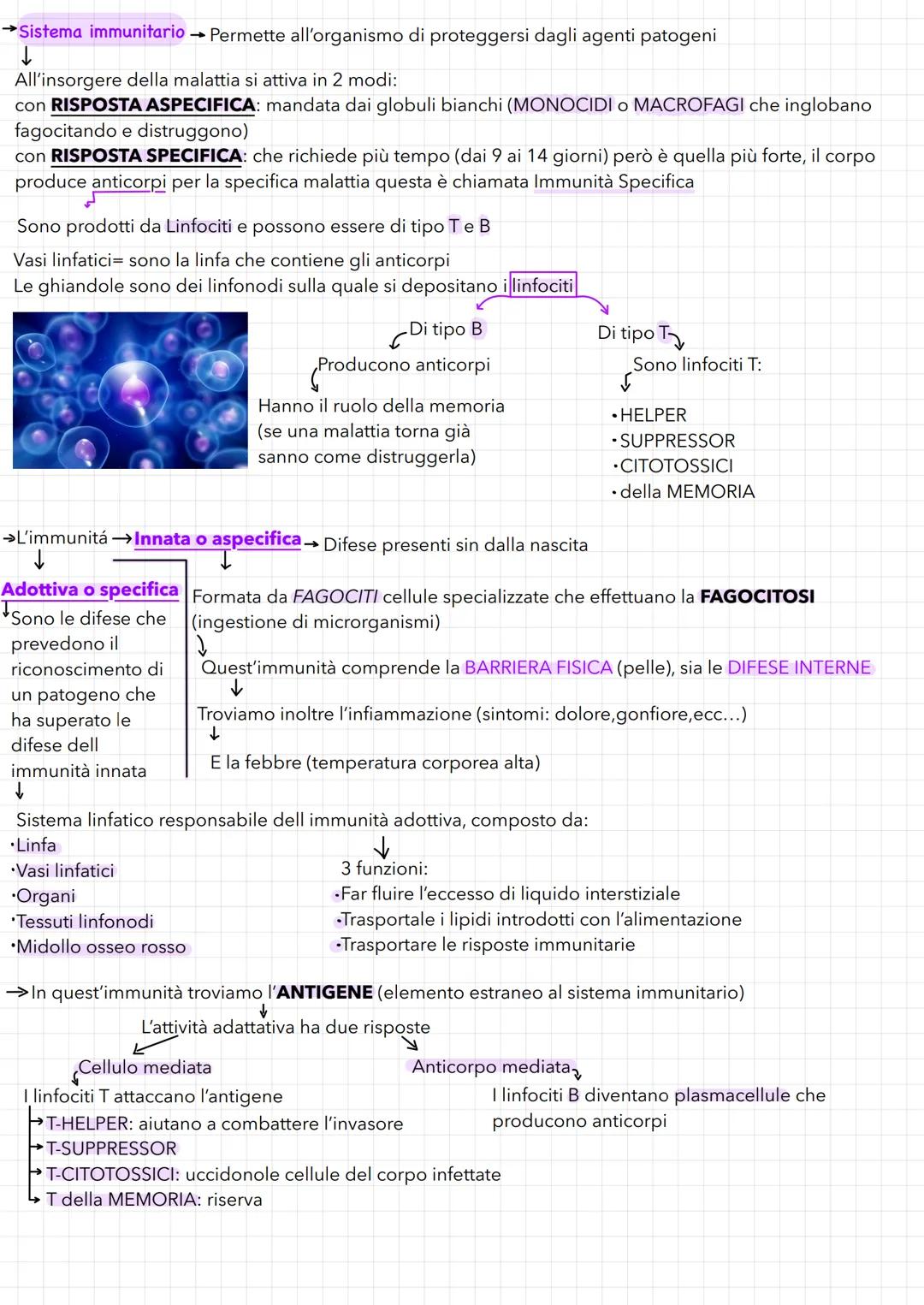 TESSUTI-ORGANI-APPARATI
✓
Il primo livello: I TESSUTI
→→ Corpo umano costituito da 100'000 miliardi di cellule specializzate in
diverse atti