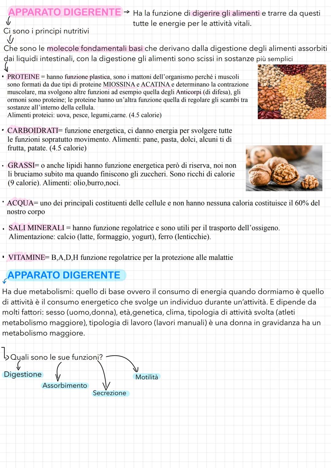 TESSUTI-ORGANI-APPARATI
✓
Il primo livello: I TESSUTI
→→ Corpo umano costituito da 100'000 miliardi di cellule specializzate in
diverse atti