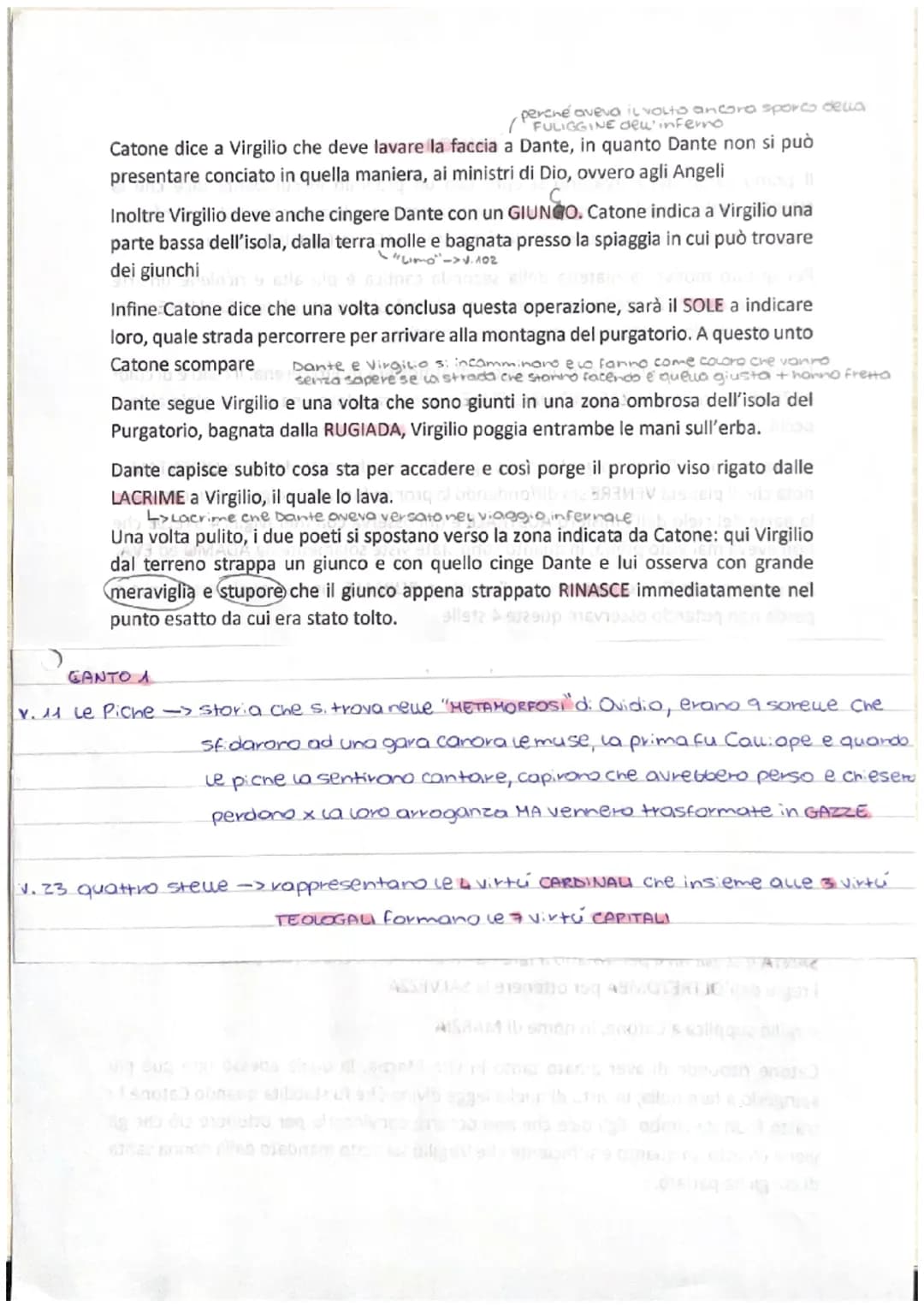 CANTO 1 VS svobod
Il primo canto del Purgatorio si apre con un proemio in cui Dante dice che la
NAVICELLA del proprio ingegno, dopo aver nav