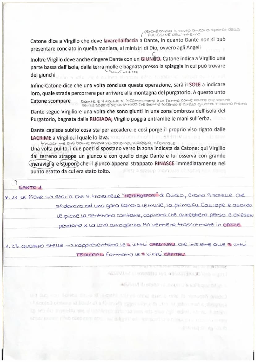 CANTO 1 VS svobod
Il primo canto del Purgatorio si apre con un proemio in cui Dante dice che la
NAVICELLA del proprio ingegno, dopo aver nav
