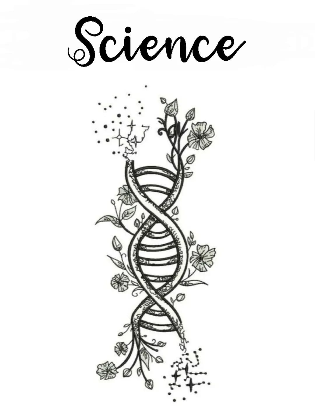 Differenze tra Cellula Eucariote e Procariote: Tutto quello che Devi Sapere!