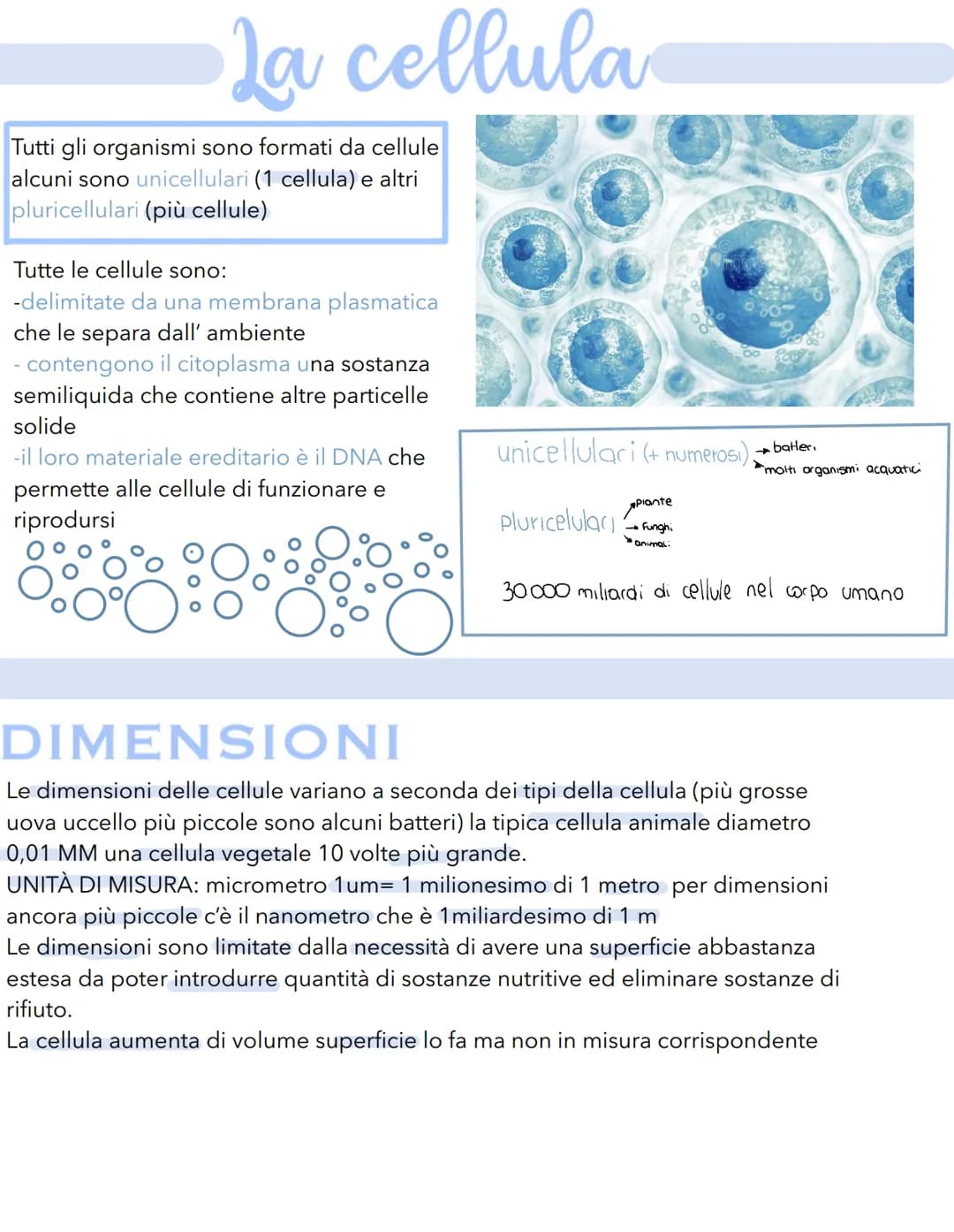 Science La cellula
Tutti gli organismi sono formati da cellule
alcuni sono unicellulari (1 cellula) e altri
pluricellulari (più cellule)
Tut