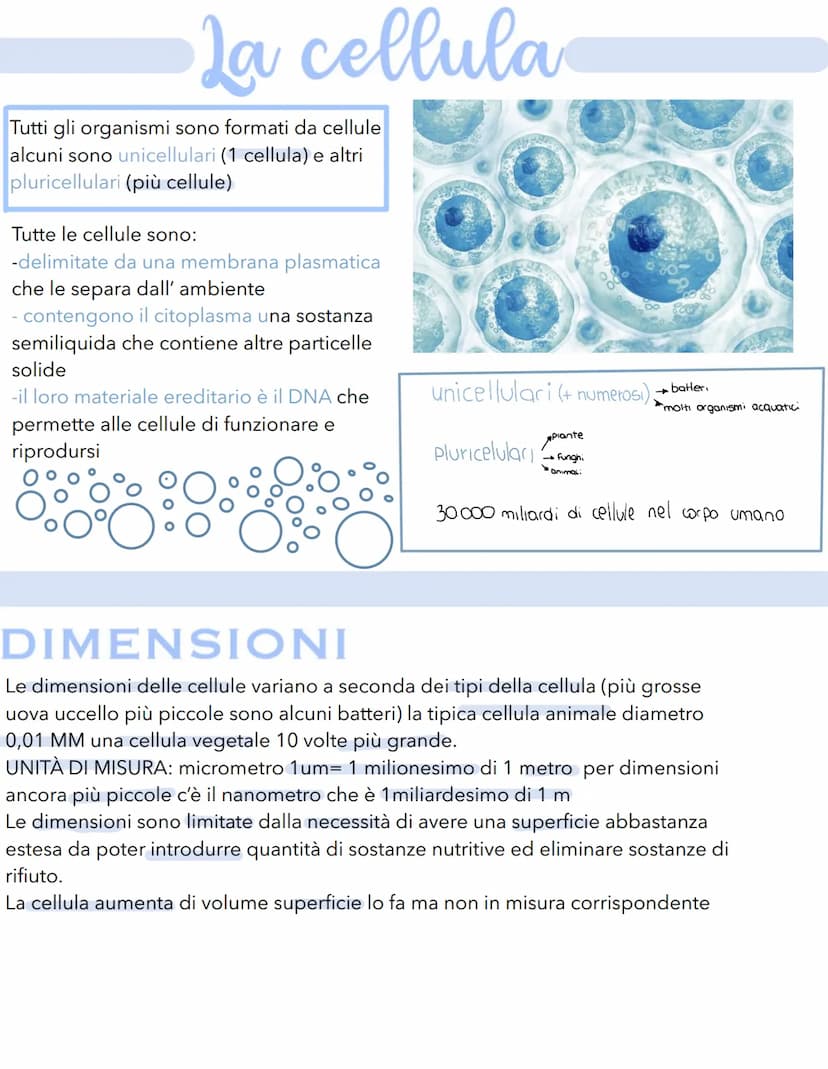 Science La cellula
Tutti gli organismi sono formati da cellule
alcuni sono unicellulari (1 cellula) e altri
pluricellulari (più cellule)
Tut