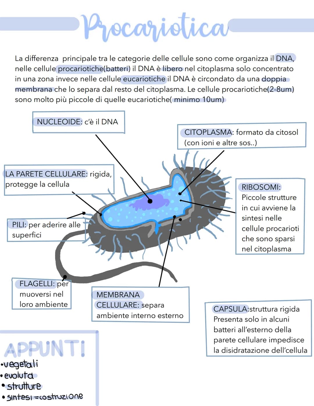 Science La cellula
Tutti gli organismi sono formati da cellule
alcuni sono unicellulari (1 cellula) e altri
pluricellulari (più cellule)
Tut