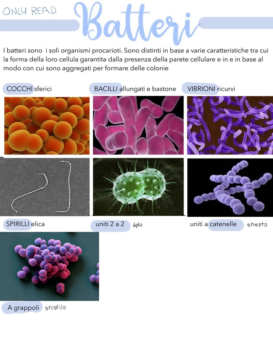 Science La cellula
Tutti gli organismi sono formati da cellule
alcuni sono unicellulari (1 cellula) e altri
pluricellulari (più cellule)
Tut