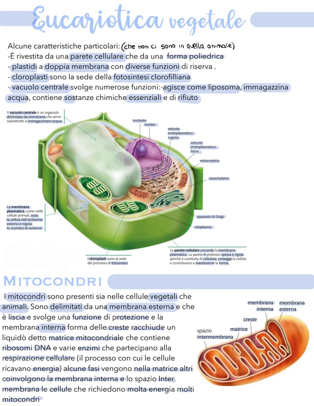 Science La cellula
Tutti gli organismi sono formati da cellule
alcuni sono unicellulari (1 cellula) e altri
pluricellulari (più cellule)
Tut