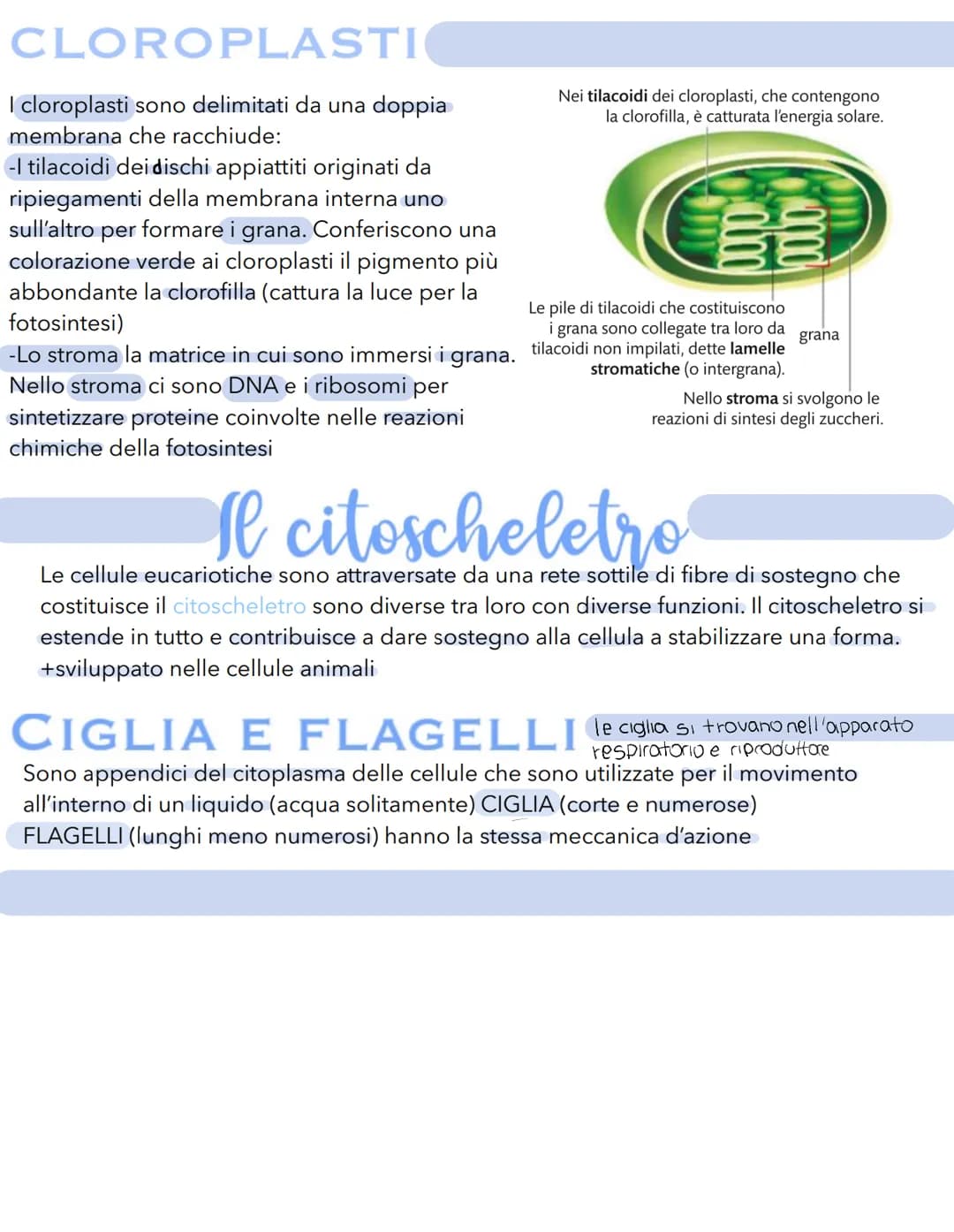 Science La cellula
Tutti gli organismi sono formati da cellule
alcuni sono unicellulari (1 cellula) e altri
pluricellulari (più cellule)
Tut