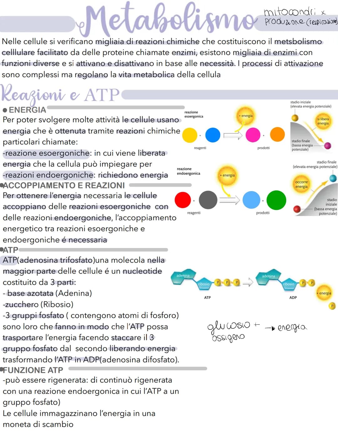 Science La cellula
Tutti gli organismi sono formati da cellule
alcuni sono unicellulari (1 cellula) e altri
pluricellulari (più cellule)
Tut