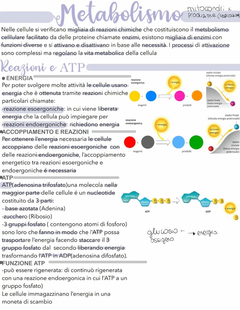 Science La cellula
Tutti gli organismi sono formati da cellule
alcuni sono unicellulari (1 cellula) e altri
pluricellulari (più cellule)
Tut