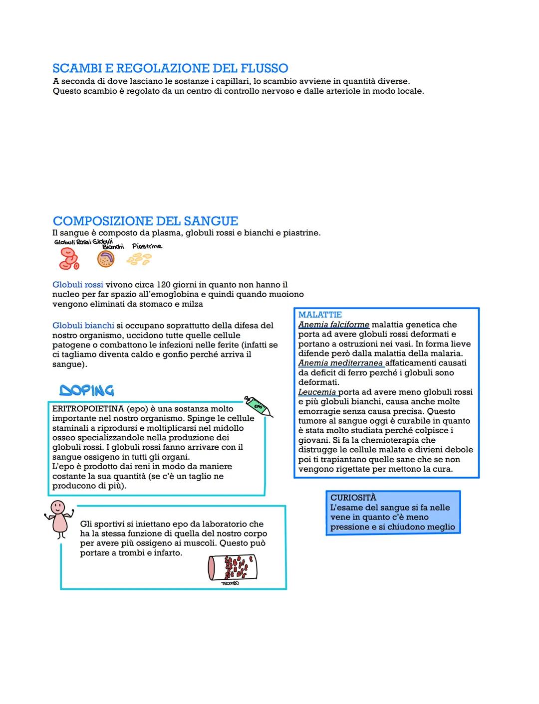APPARATO
CARDIOVASCOLARE
È costituito da un sistema chiuso di vasi e un cuore, è
suddiviso in circolazione polmonare e sistemica.
Esistono v