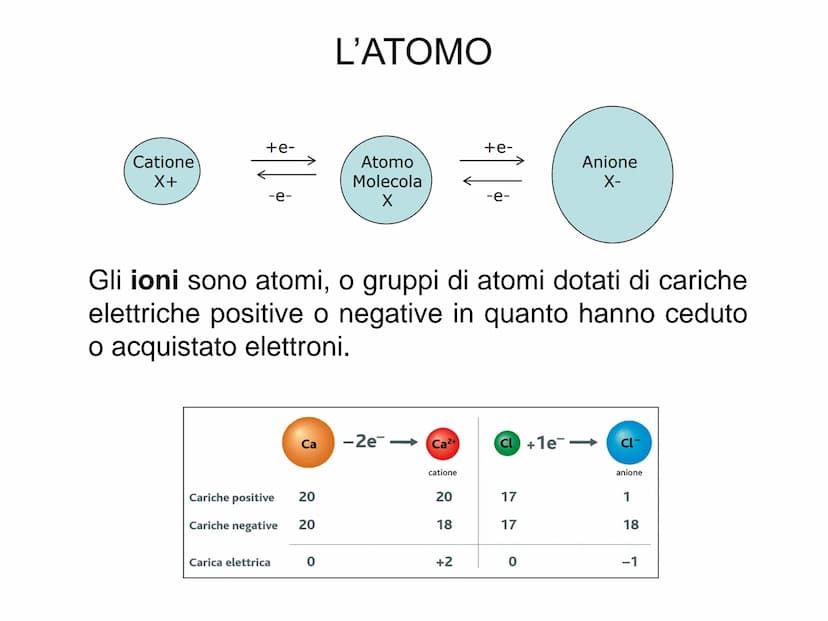 L'ATOMO L'ATOMO
Elemento: Sostanza che non può essere
scissa in altre sostanze più semplici mediante
reazioni chimiche.
Particella
elettrone