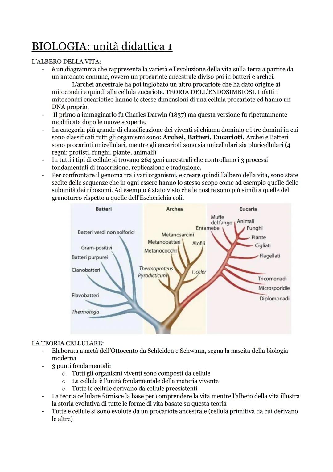 # BIOLOGIA: unità didattica 1

L'ALBERO DELLA VITA:
- è un diagramma che rappresenta la varietà e l'evoluzione della vita sulla terra a part