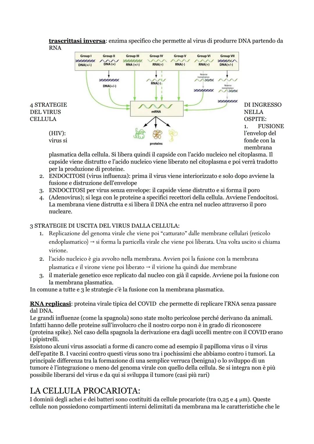 # BIOLOGIA: unità didattica 1

L'ALBERO DELLA VITA:
- è un diagramma che rappresenta la varietà e l'evoluzione della vita sulla terra a part