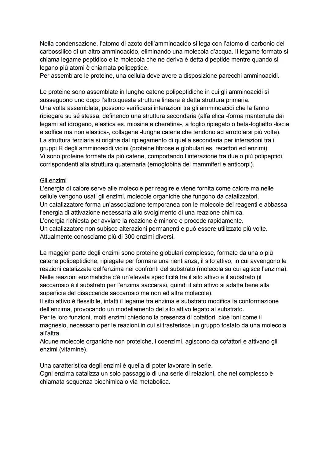LE BIOMOLECOLE
La chimica dei viventi
Gli organismi sono composti in gran parte d'acqua, ioni (come sodio, potassio e calcio) e
biomolecole,