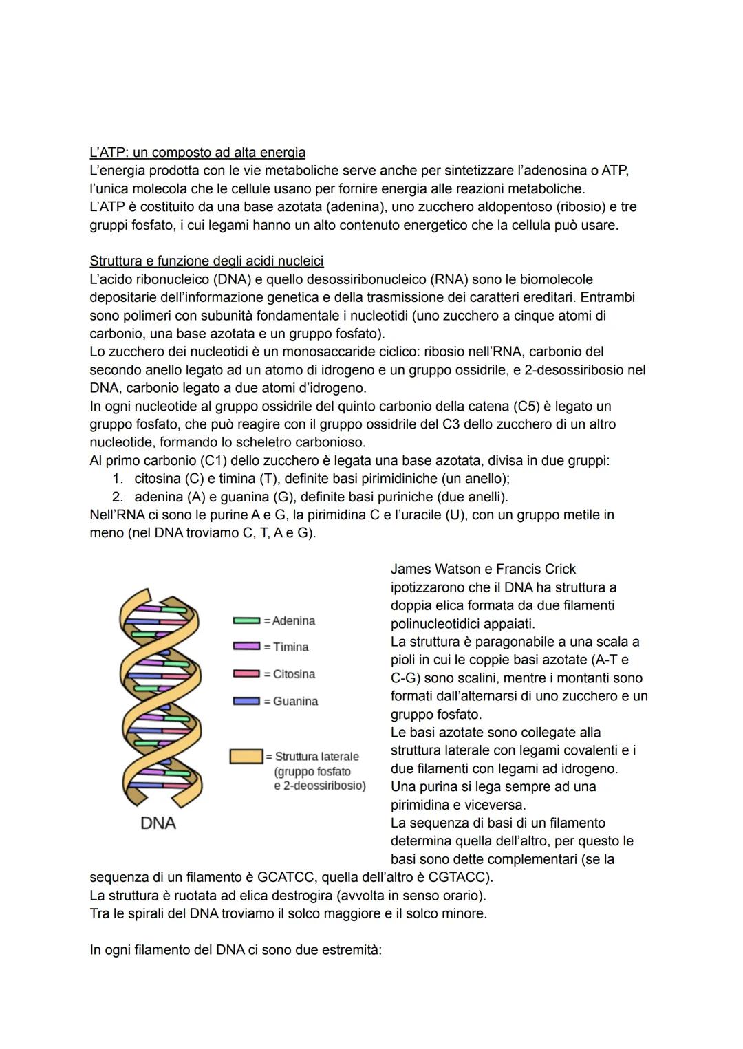 LE BIOMOLECOLE
La chimica dei viventi
Gli organismi sono composti in gran parte d'acqua, ioni (come sodio, potassio e calcio) e
biomolecole,