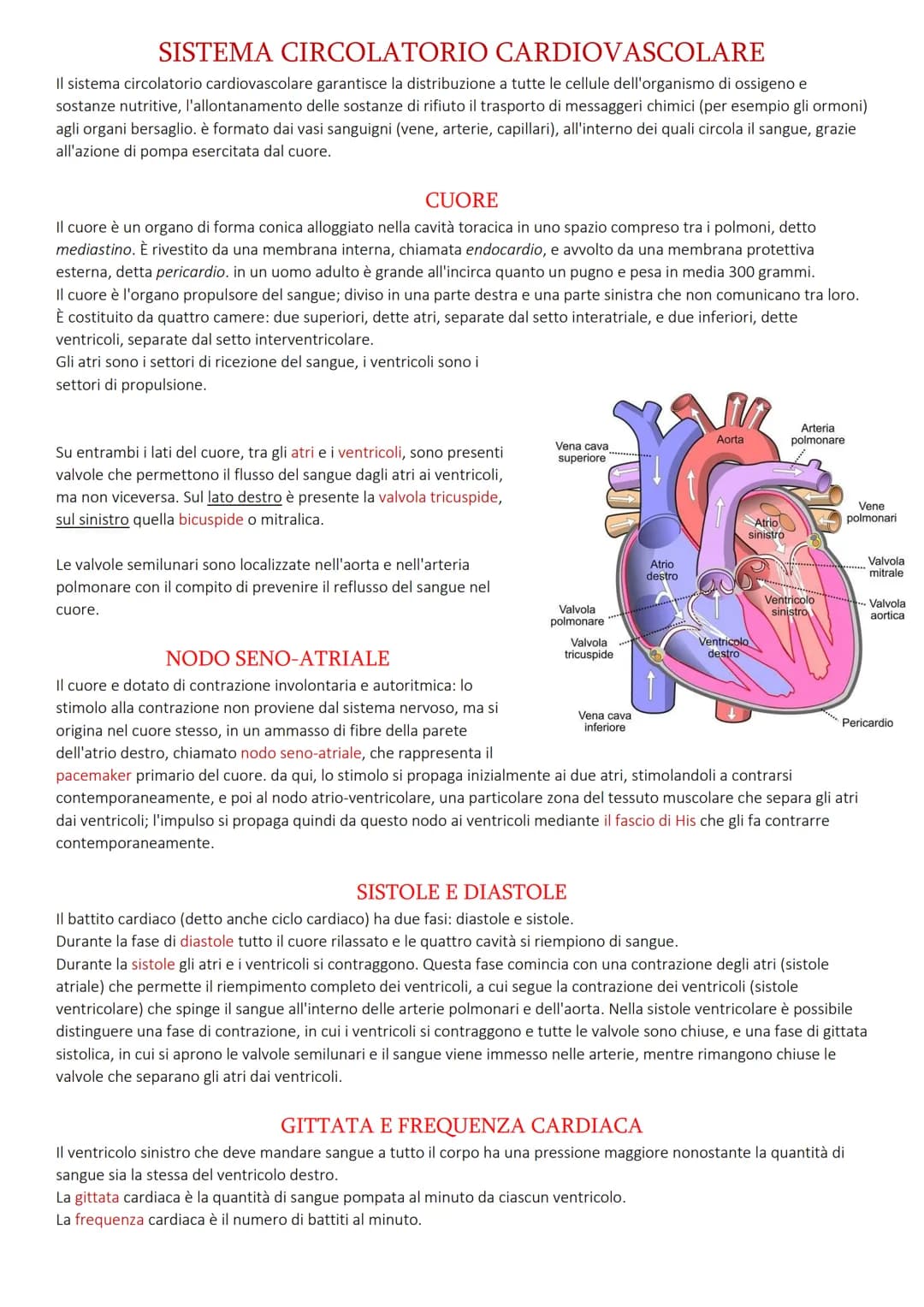 SISTEMA CIRCOLATORIO CARDIOVASCOLARE
Il sistema circolatorio cardiovascolare garantisce la distribuzione a tutte le cellule dell'organismo d