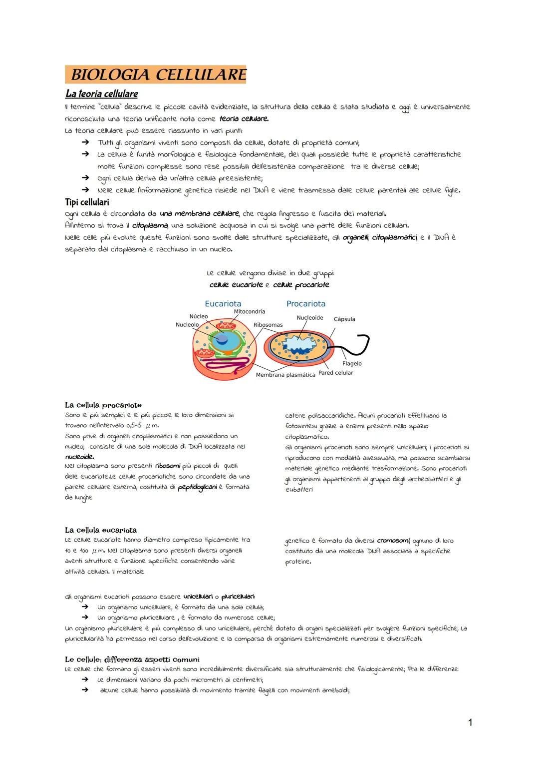 Biologia cellulare 