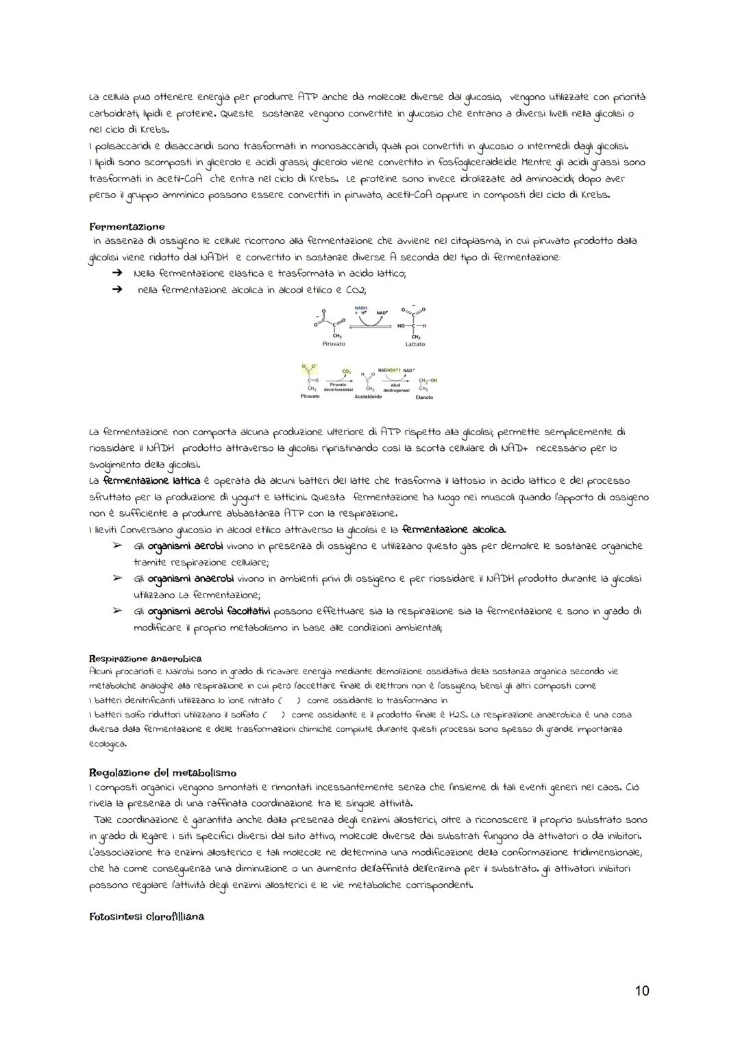 BIOLOGIA CELLULARE
La teoria cellulare
Il termine "cellula" descrive le piccole cavità evidenziate, la struttura della cellula è stata studi