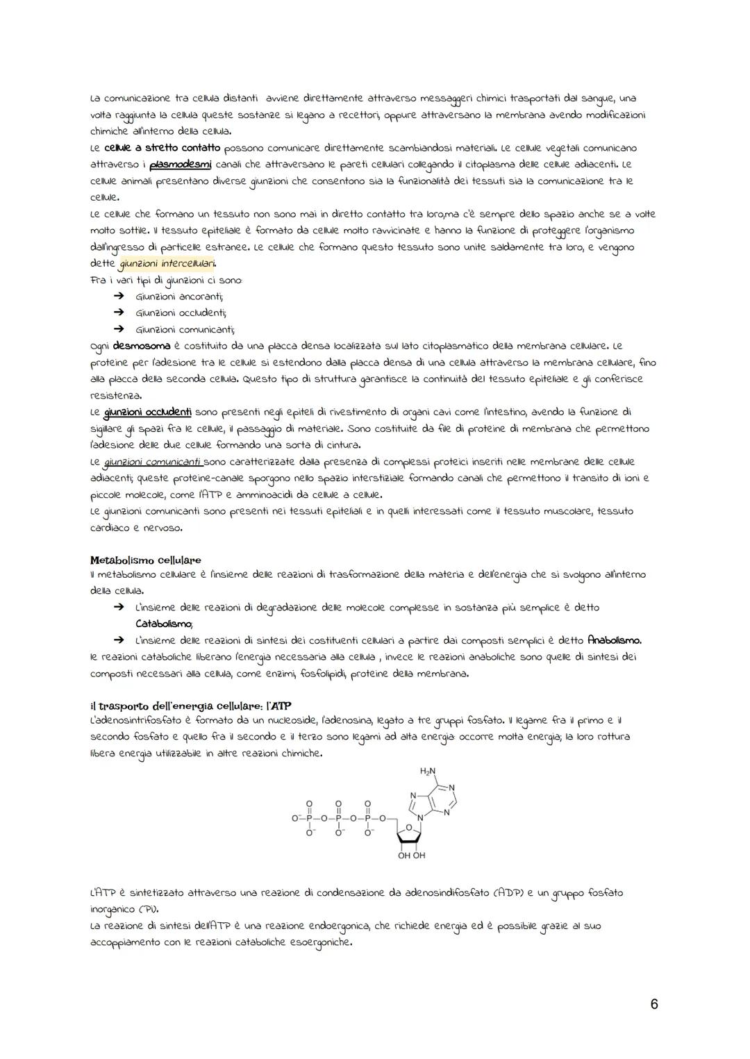 BIOLOGIA CELLULARE
La teoria cellulare
Il termine "cellula" descrive le piccole cavità evidenziate, la struttura della cellula è stata studi