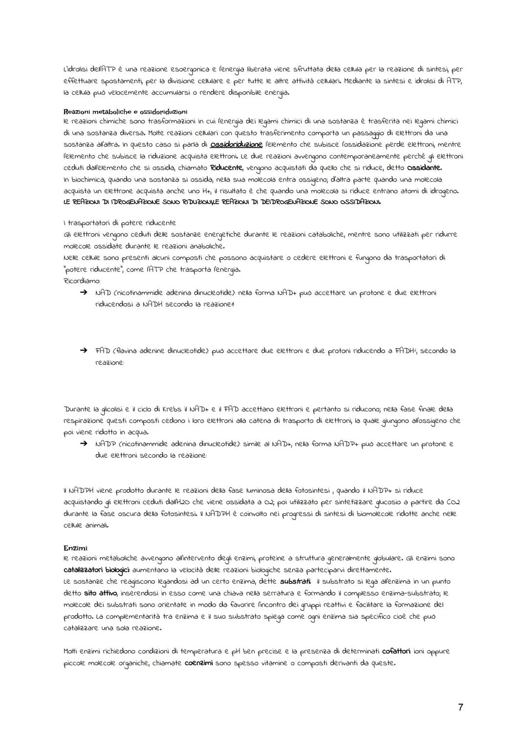 BIOLOGIA CELLULARE
La teoria cellulare
Il termine "cellula" descrive le piccole cavità evidenziate, la struttura della cellula è stata studi