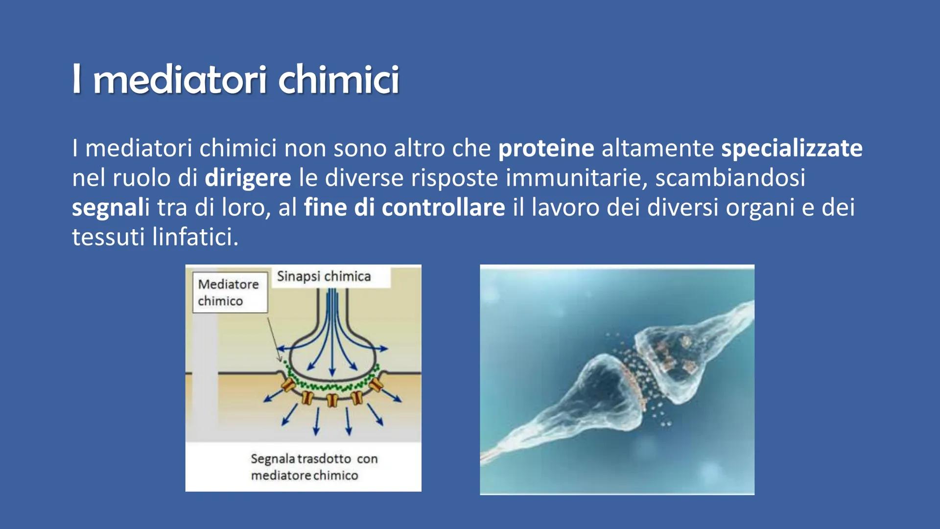 Ricerca di scienze di Ronzoni Asia classe 3^A
FOR DE
P
IL SISTEMA
IMMUNITARIO
DEL CORPO UMANO
PAM Cosa è il sistema immunitario del corpo um