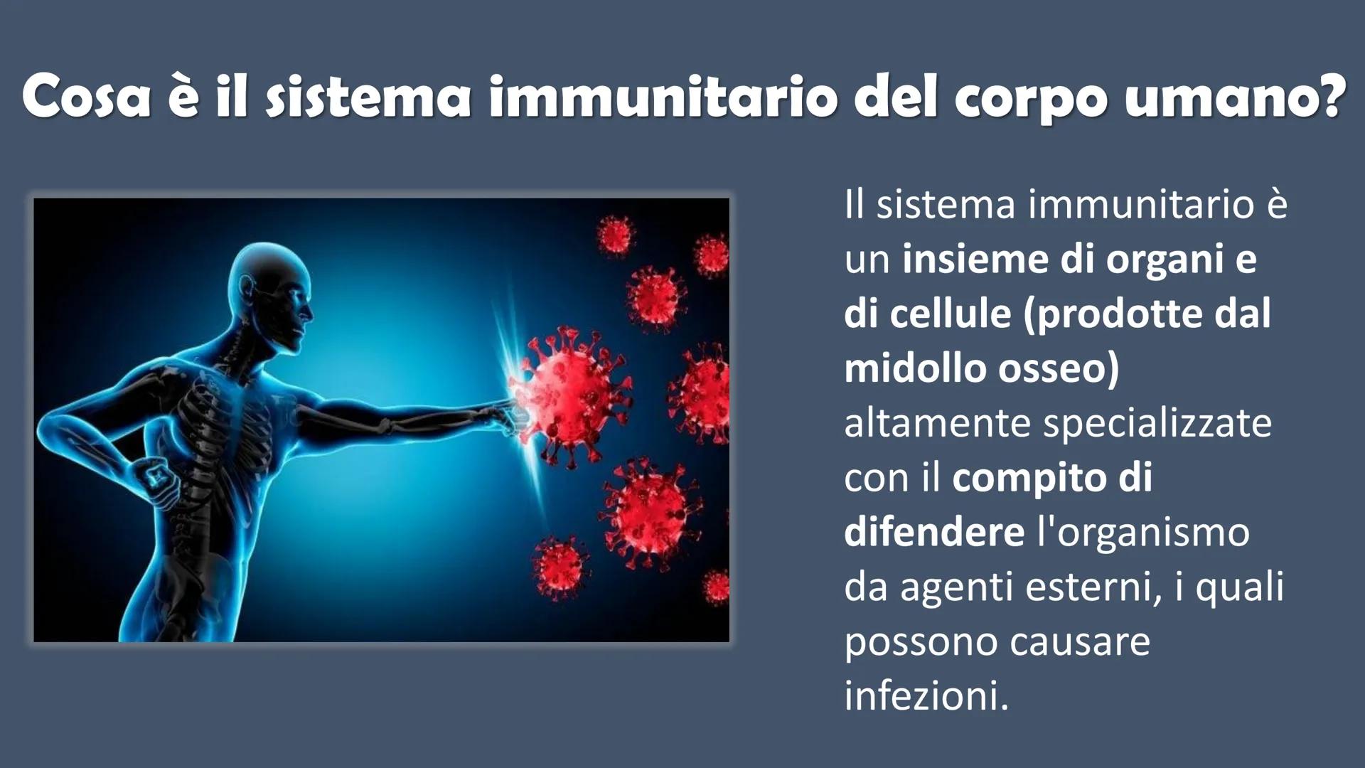 Ricerca di scienze di Ronzoni Asia classe 3^A
FOR DE
P
IL SISTEMA
IMMUNITARIO
DEL CORPO UMANO
PAM Cosa è il sistema immunitario del corpo um