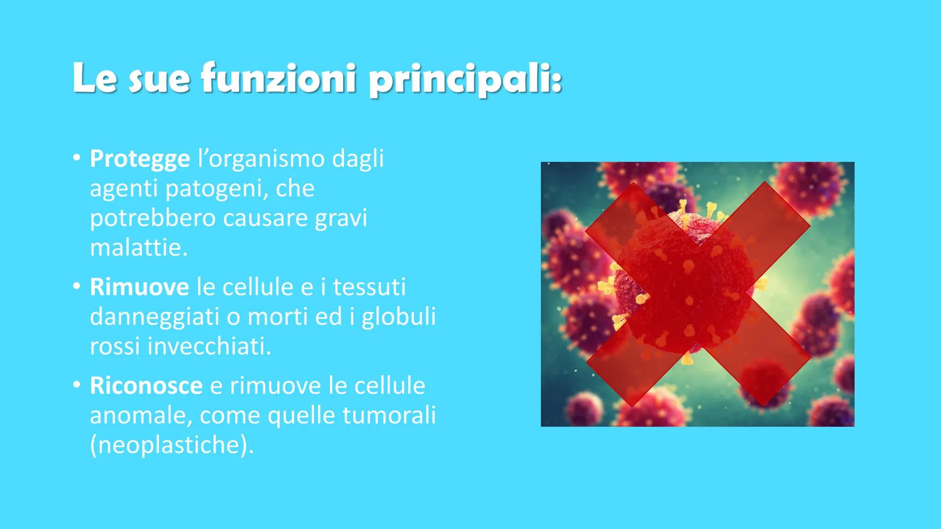 Ricerca di scienze di Ronzoni Asia classe 3^A
FOR DE
P
IL SISTEMA
IMMUNITARIO
DEL CORPO UMANO
PAM Cosa è il sistema immunitario del corpo um