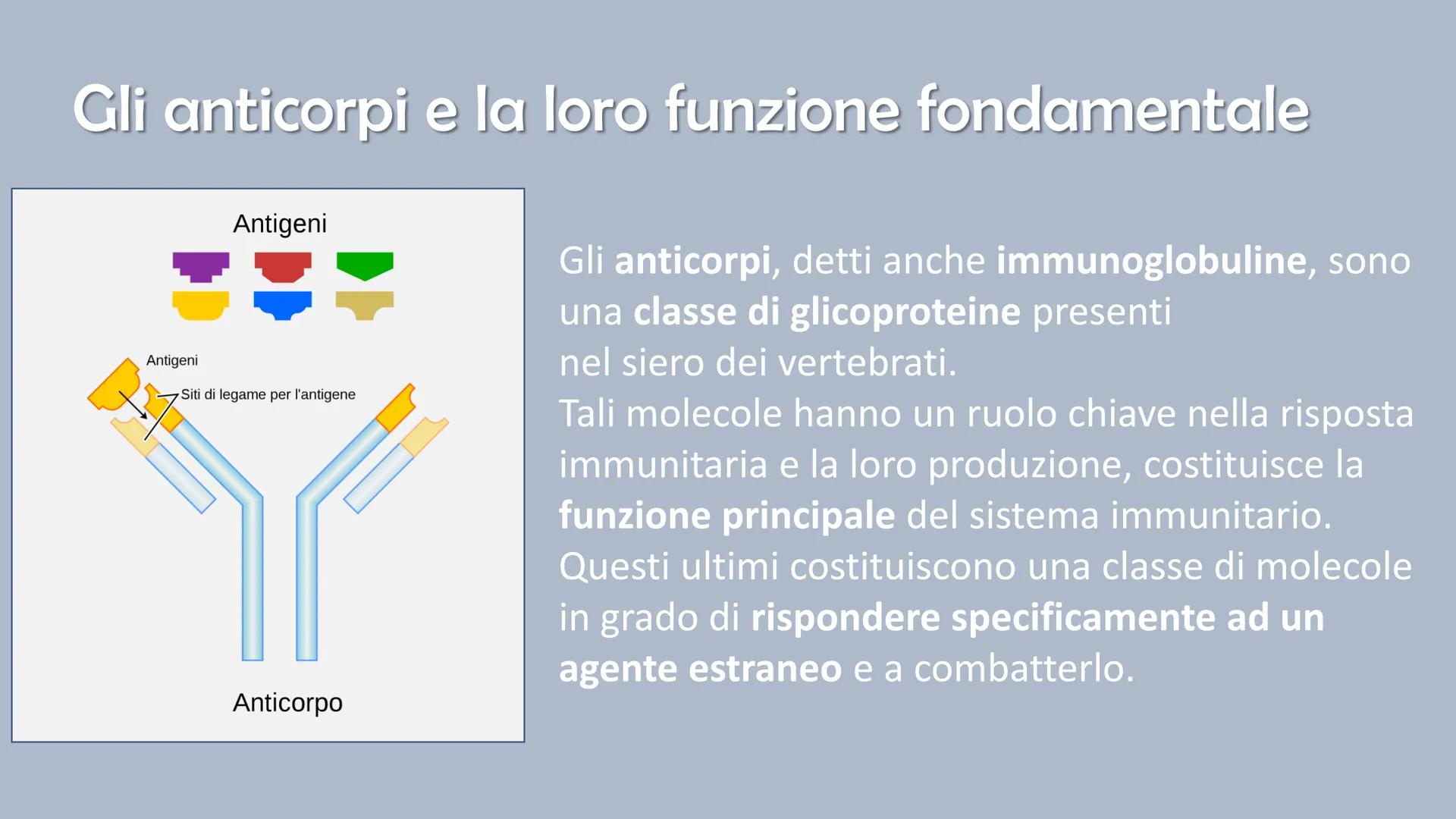 Ricerca di scienze di Ronzoni Asia classe 3^A
FOR DE
P
IL SISTEMA
IMMUNITARIO
DEL CORPO UMANO
PAM Cosa è il sistema immunitario del corpo um