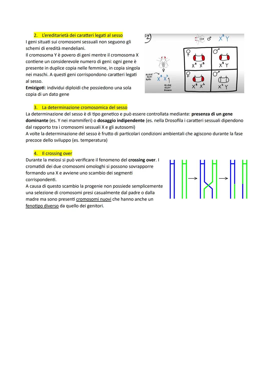 1. Introduzione
La genetica è lo studio delle leggi e dei meccanismi che permettono la trasmissione dei caratteri da una
generazione all'alt