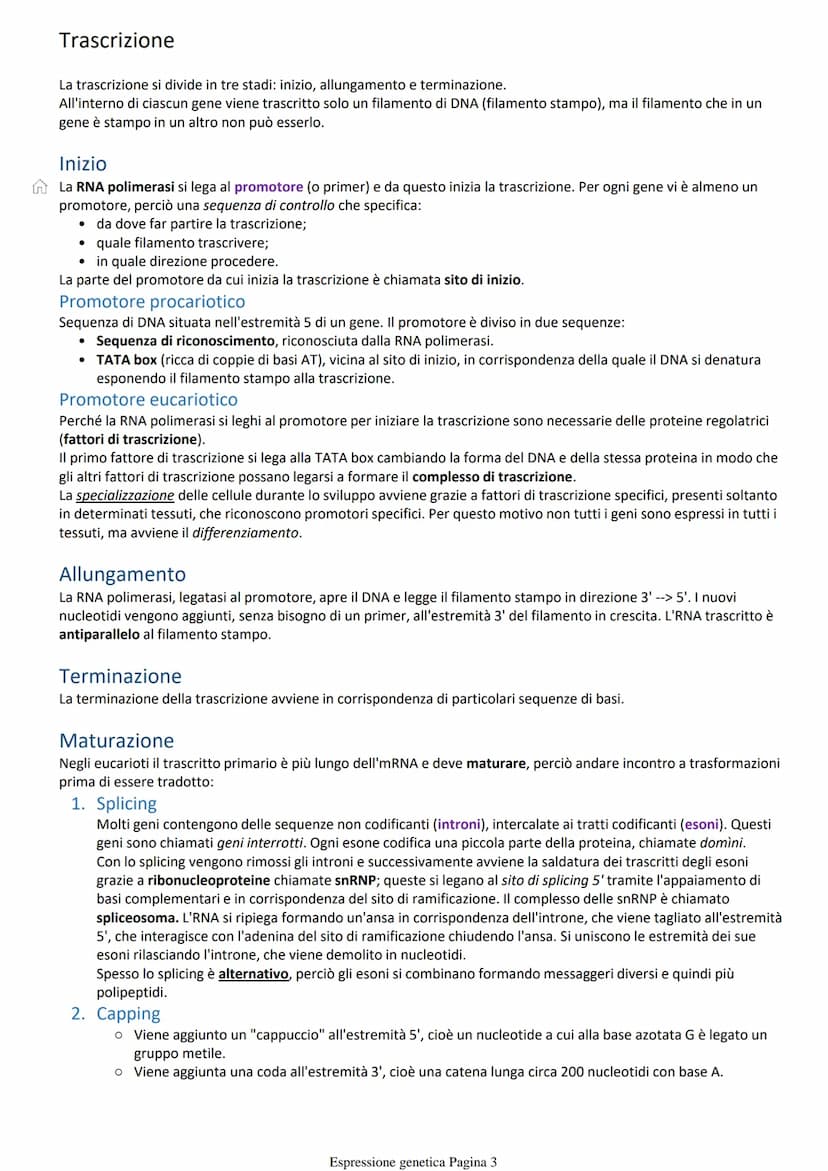 Costruzione delle proteine
Per indagare sui fenomeni biologici si utilizzano organismi modello che oltre a mostrare il fenomeno sono anche
f