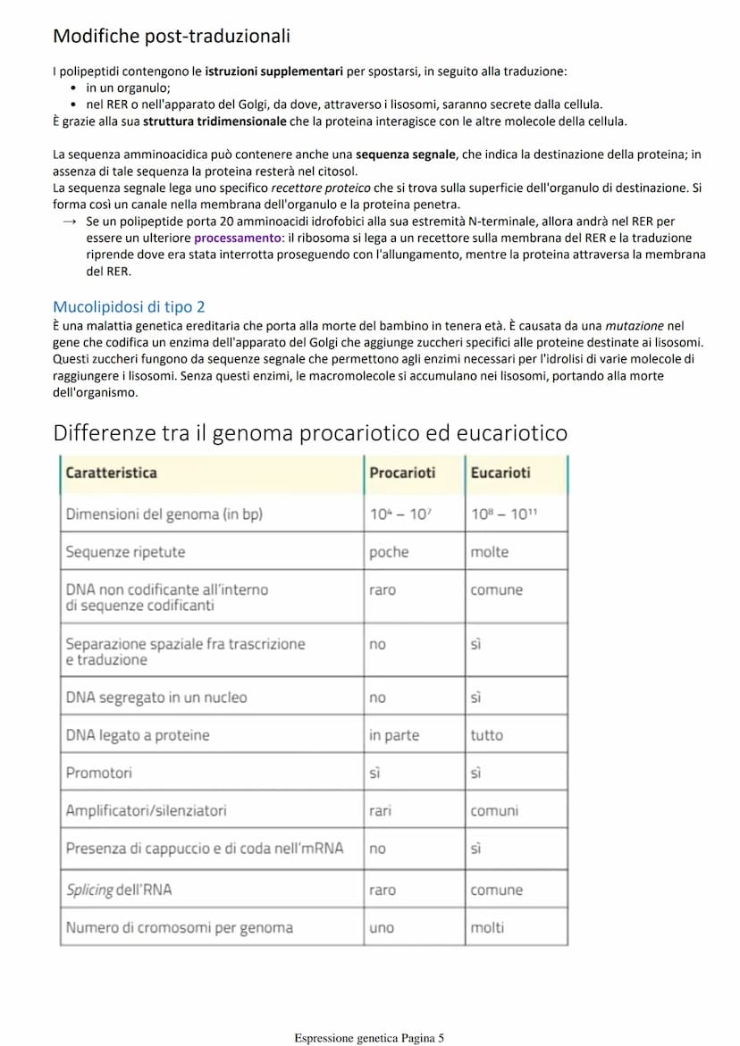 Costruzione delle proteine
Per indagare sui fenomeni biologici si utilizzano organismi modello che oltre a mostrare il fenomeno sono anche
f