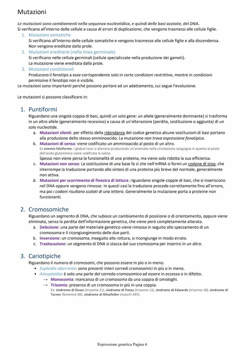 Costruzione delle proteine
Per indagare sui fenomeni biologici si utilizzano organismi modello che oltre a mostrare il fenomeno sono anche
f