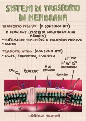 Know Sistemi di trasporto di membrana thumbnail