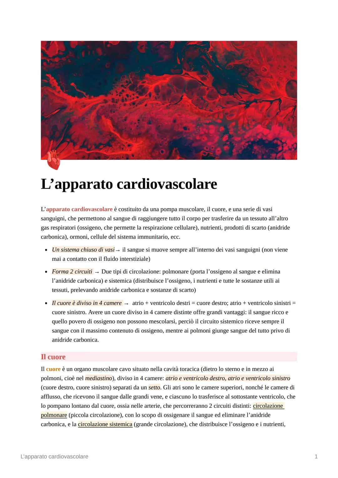 L'apparato cardiovascolare
L'apparato cardiovascolare è costituito da una pompa muscolare, il cuore, e una serie di vasi
sanguigni, che perm