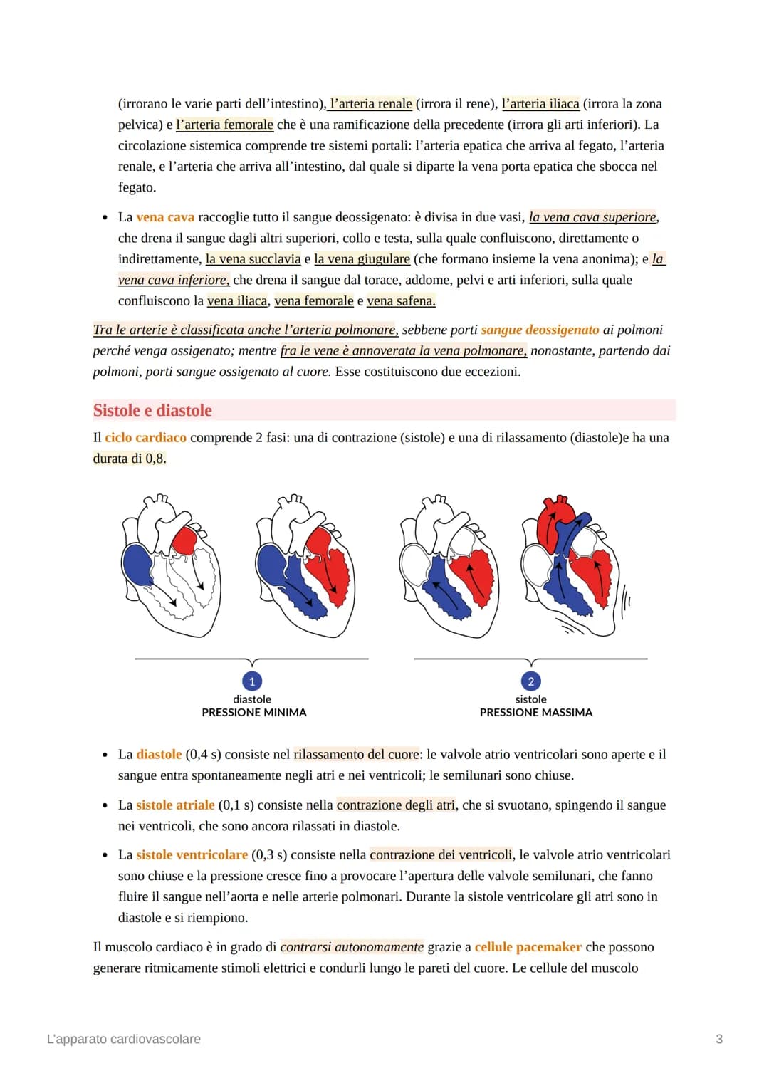 L'apparato cardiovascolare
L'apparato cardiovascolare è costituito da una pompa muscolare, il cuore, e una serie di vasi
sanguigni, che perm