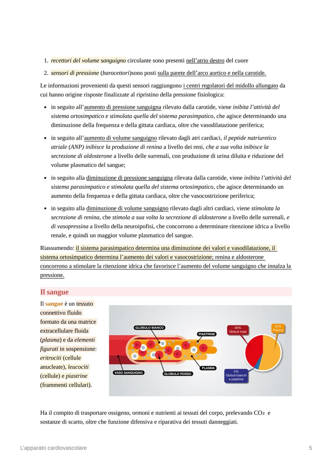 L'apparato cardiovascolare
L'apparato cardiovascolare è costituito da una pompa muscolare, il cuore, e una serie di vasi
sanguigni, che perm
