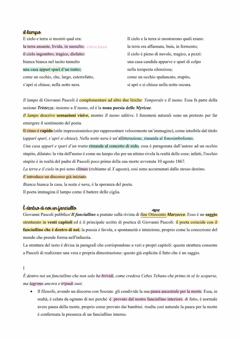 la società e l'intimita
Nel passaggio tra l'Ottocento e il Novecento, gli artisti e i letterati vissero una condizione di estraneità rispett