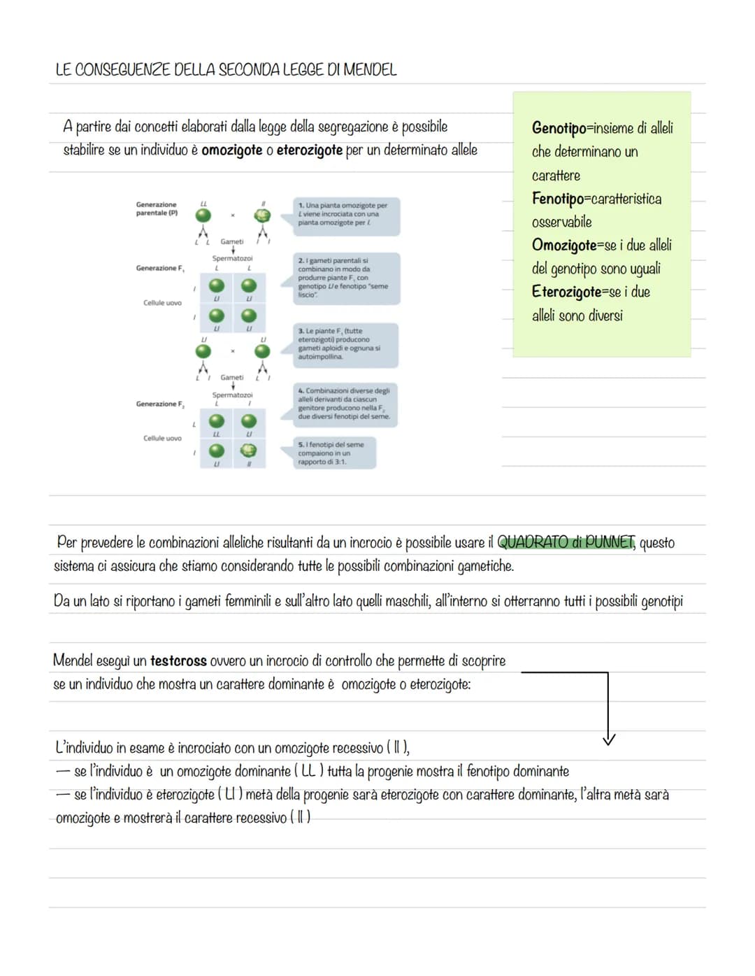 GREGOR MENDEL E LA GENETICA
La genetica è lo studio delle leggi e dei
meccanismi che permettono la trasmissione
dei caratteri da una generaz